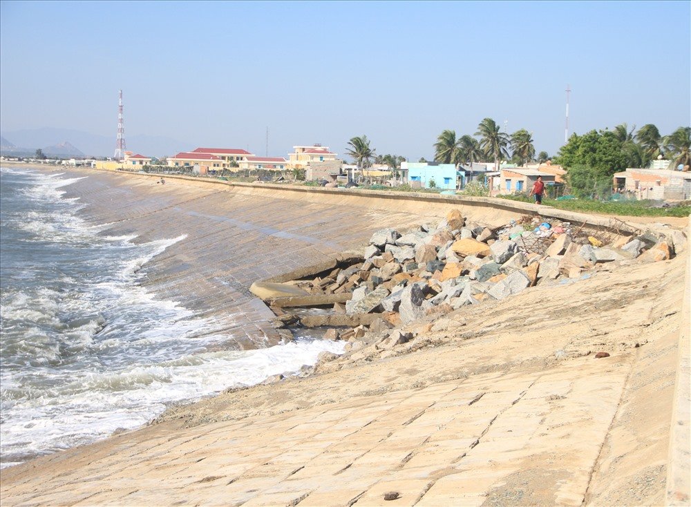 bờ bao thuỷ lợi